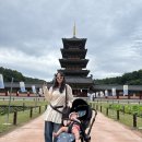 (주)크레오 | 아기와의 외출 필수템! 절충형 유모차 미마 크레오와 함께 열심히 놀러 다닌 후기 (+ 유모차 수납공간)