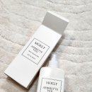 집안 | 섬유향수 추천 집안 곳곳 상쾌하게 모엘리 사용 후기