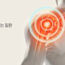 21세기 충주제통의원 이미지