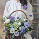 리엔소품 이미지