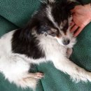 구천면로 이미지