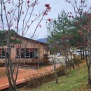 국립산림치유원 문필식당 이미지