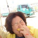 월내초등학교 이미지