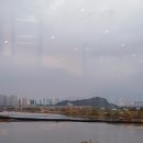 월야88장어 이미지