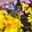 가음초등학교 이미지