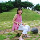 삼척비너스 이미지
