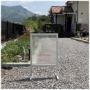 스테이브릴 이미지