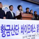 광양 태양광발전소 이미지