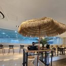 발리마린키즈 이미지