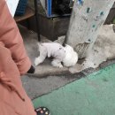 대백마트네오시티점 이미지