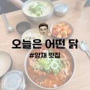 양재 맛집 | 뱅뱅사거리 직장인 점심 추천 오늘은 어떤 닭