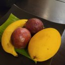 썬비치리조트 | 나트랑 여행 4일차, 아미아나 리조트 스노쿨링, 썬번케어 마사지