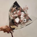 핏투니스 이미지