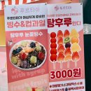 푸르티아 네이버블로그