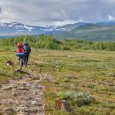 국민여가캠핑장 이미지