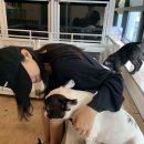 빈스독 | [외대애견카페/이문동애견카페] 빈스독 애견카페 방문후기💖