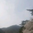 용문정 앞 이미지