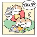일중농장 이미지