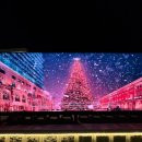 승연전자 | 가평 펜션 추천 , BS 풀빌라 후기