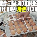 만숙 이미지