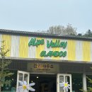 (유)동화환경 | 강원도 홍천 캠핑장 추천 홍천 알프스밸리 캠핑나라 봄캠핑 후기