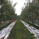 수훈농장 이미지