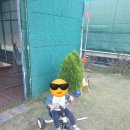 다올농원 이미지