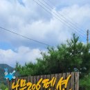 나무206 이미지