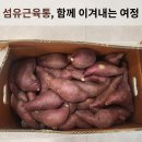 경희홀케어한의원 이미지