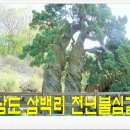 [[제34차 순천 천년불심길 정기트레킹]] 이미지