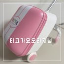 23개월 11개월 아기 타고가요 캐리어 오리지널 트라이크 내돈내산 솔직후기