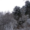 서종체육공원 이미지