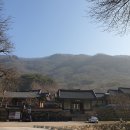1박2일남도여행 광주송정역 영광 불갑사