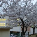 선암초등학교 이미지