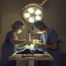 왕십리동물병원 이미지