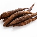 더덕이네 이미지