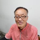 머리카락한올