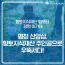 평창산양삼, 향토지식재산으로 우뚝 서다