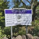 모리도중 이미지