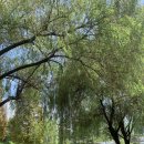 GS25 남동논현 이미지