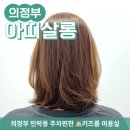 아띠살롱 이미지