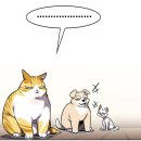 고흥한우직판장 | 레츠고(흥)
