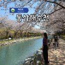영도어울림문화공원 | 부산 벚꽃 명소 영도 동삼해수천 실시간 산책 후기!