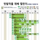 텃밭작물 재배 캘린더(모종을 이용한 텃밭재배) 이미지