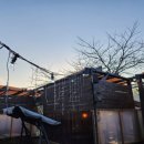 정글펜션 이미지