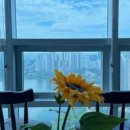 수원-1371 이미지