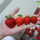 예찬농장 이미지