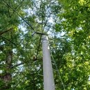 번암느티나무협동조합 이미지