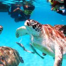 대양 (태권도) 이미지