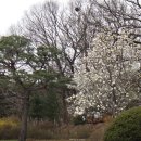 삼하리 이미지